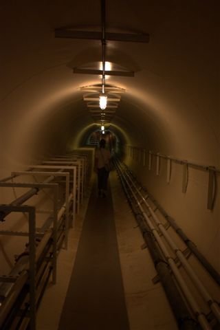 IMG_1594